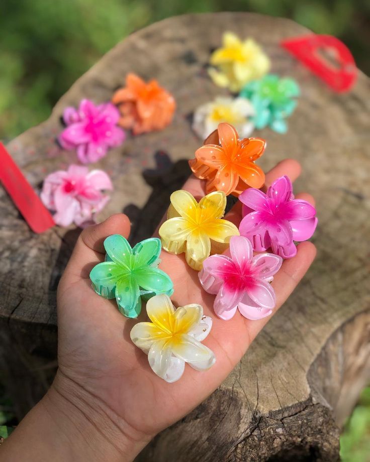 Mini Pinzas Flor 3 Unidades